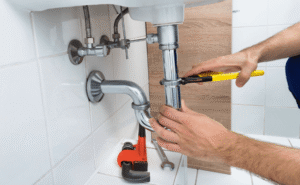 Expert Plumber Services for Efficient and Hassle-Free Living